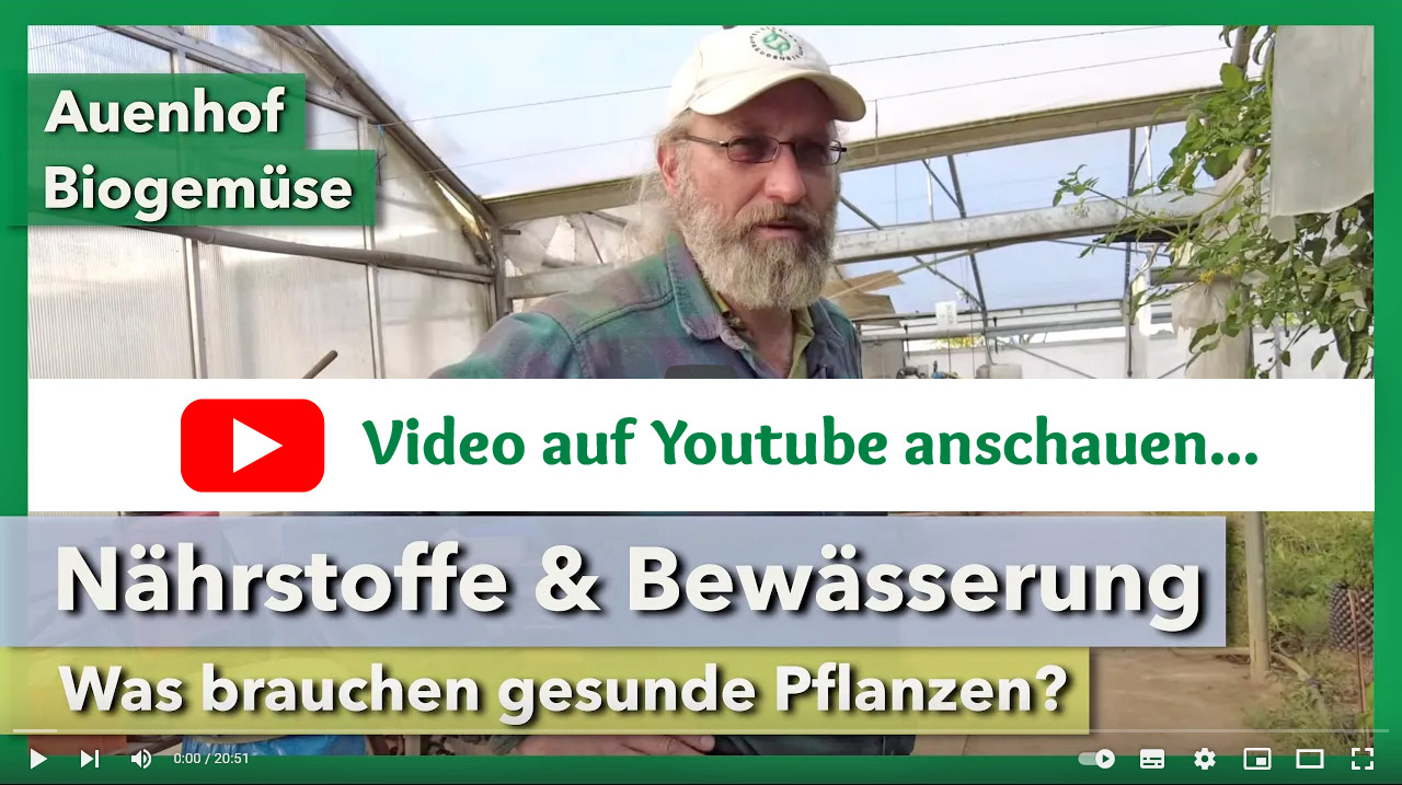 Bildlink zu youtube